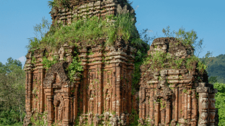 vinh 14